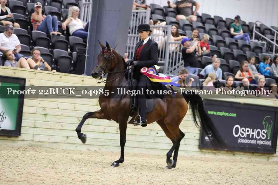 Proof 22BUCK_04985
