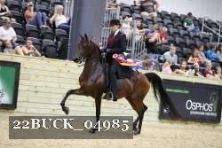 22BUCK_04985 proof