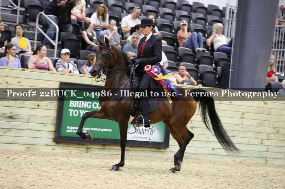 Proof 22BUCK_04986