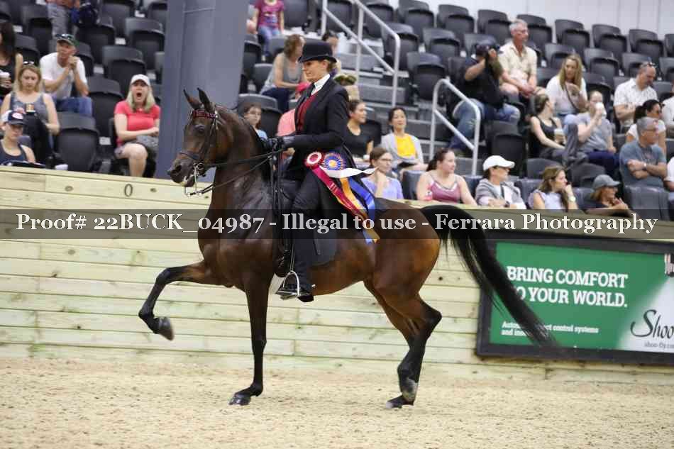 Proof 22BUCK_04987