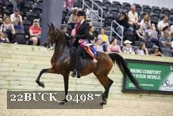 22BUCK_04987 proof