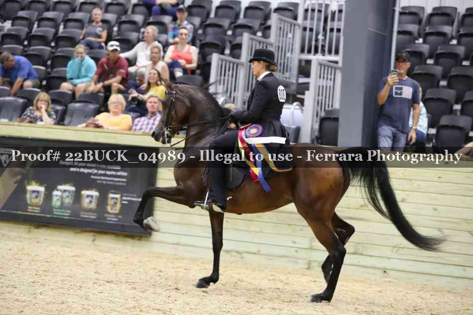 Proof 22BUCK_04989