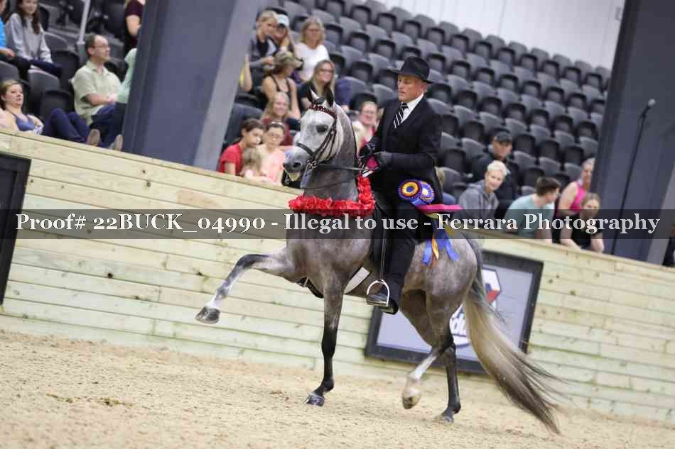 Proof 22BUCK_04990