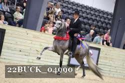 22BUCK_04990 proof