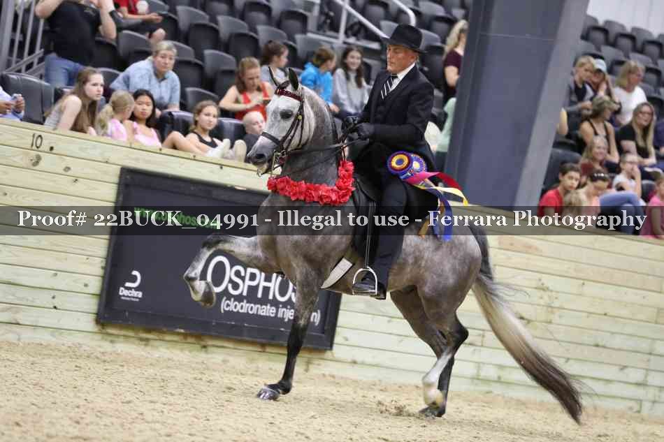 Proof 22BUCK_04991