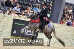22BUCK_04991 proof