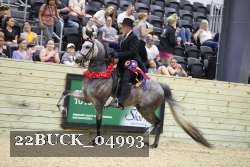 22BUCK_04993 proof