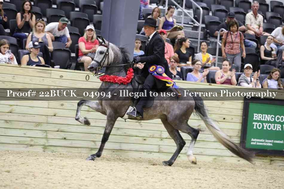 Proof 22BUCK_04994