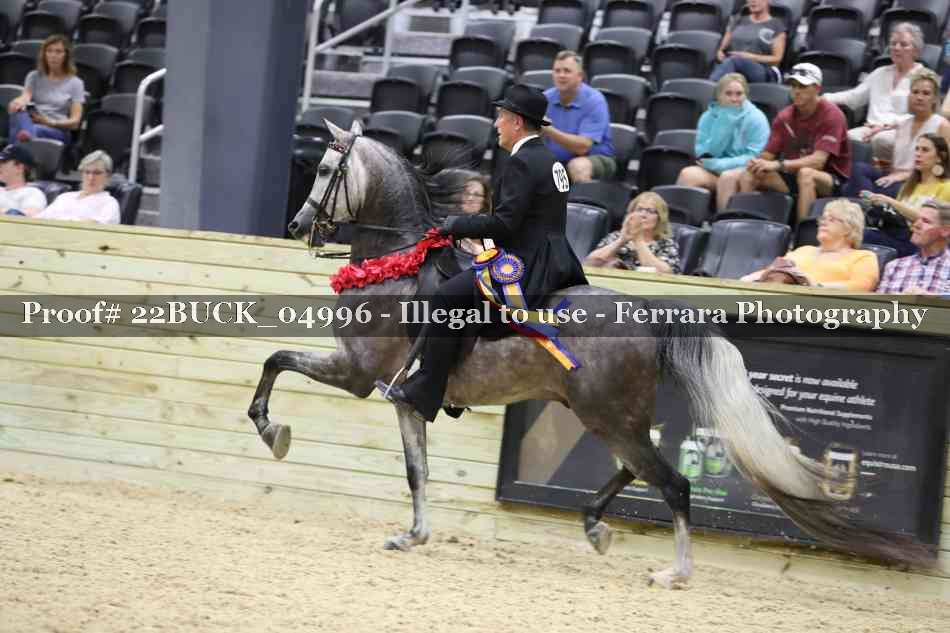 Proof 22BUCK_04996