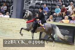22BUCK_04996 proof