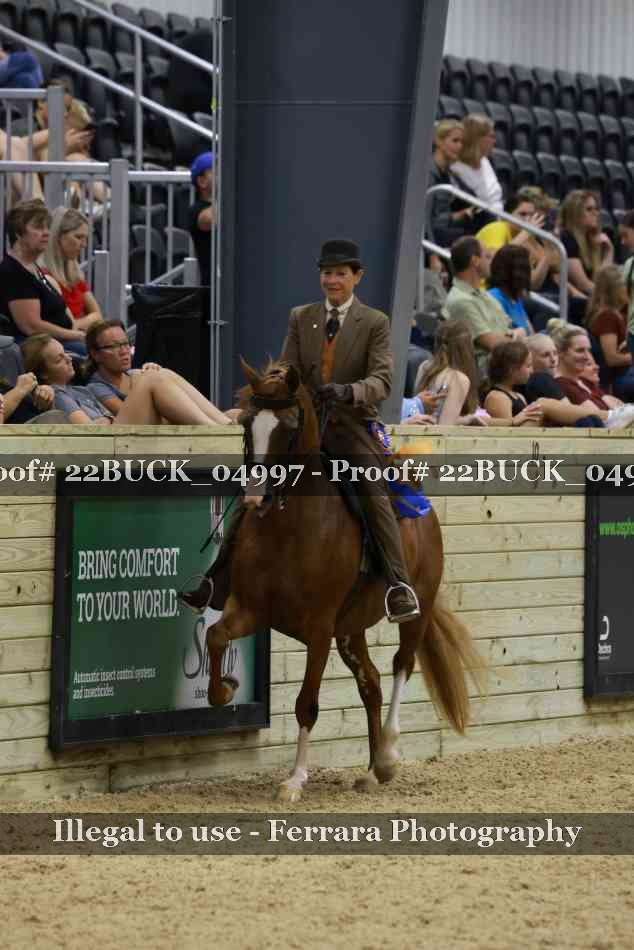 Proof 22BUCK_04997
