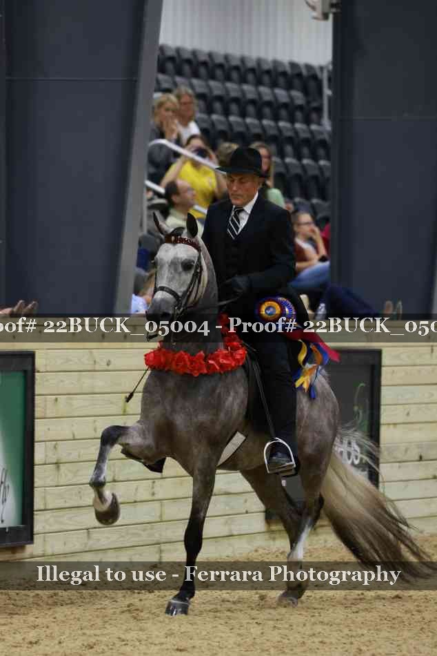 Proof 22BUCK_05004