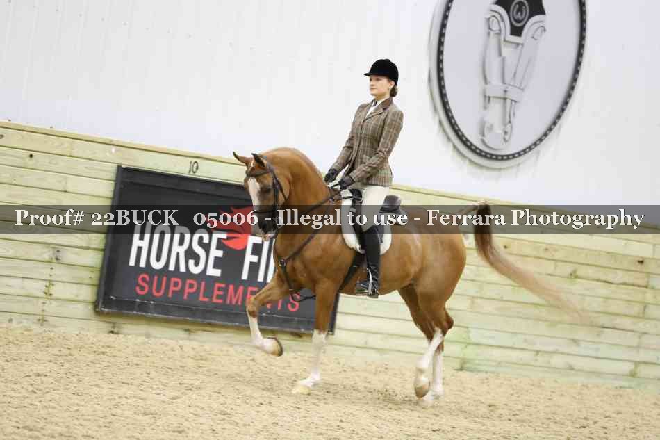 Proof 22BUCK_05006