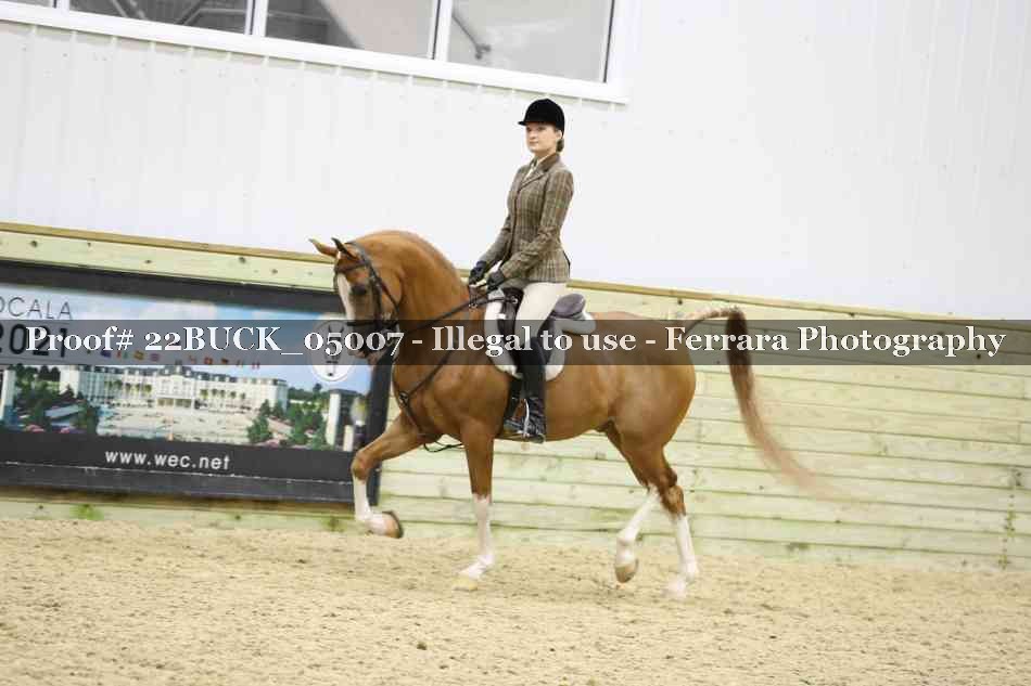 Proof 22BUCK_05007