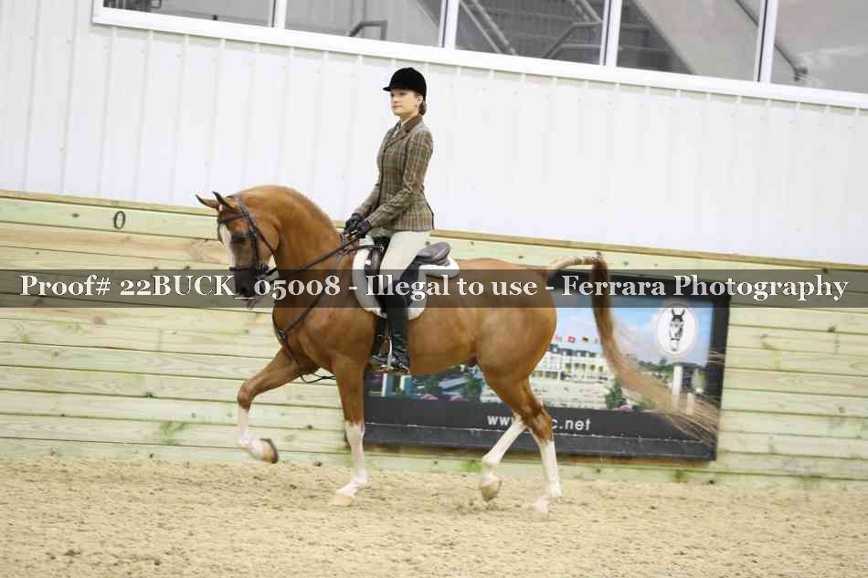 Proof 22BUCK_05008