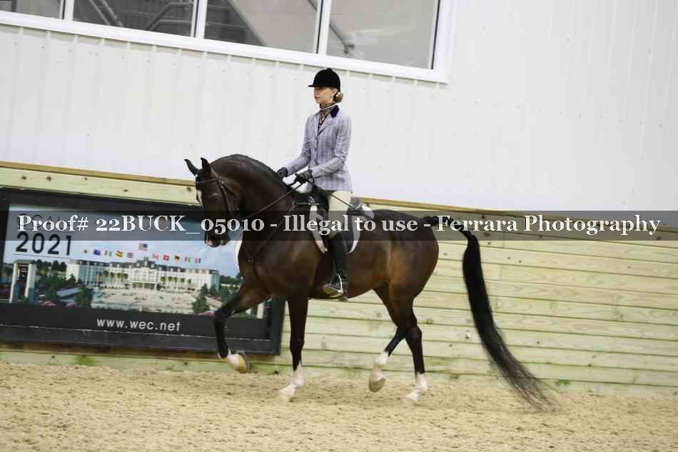 Proof 22BUCK_05010
