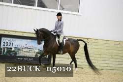 22BUCK_05010 proof