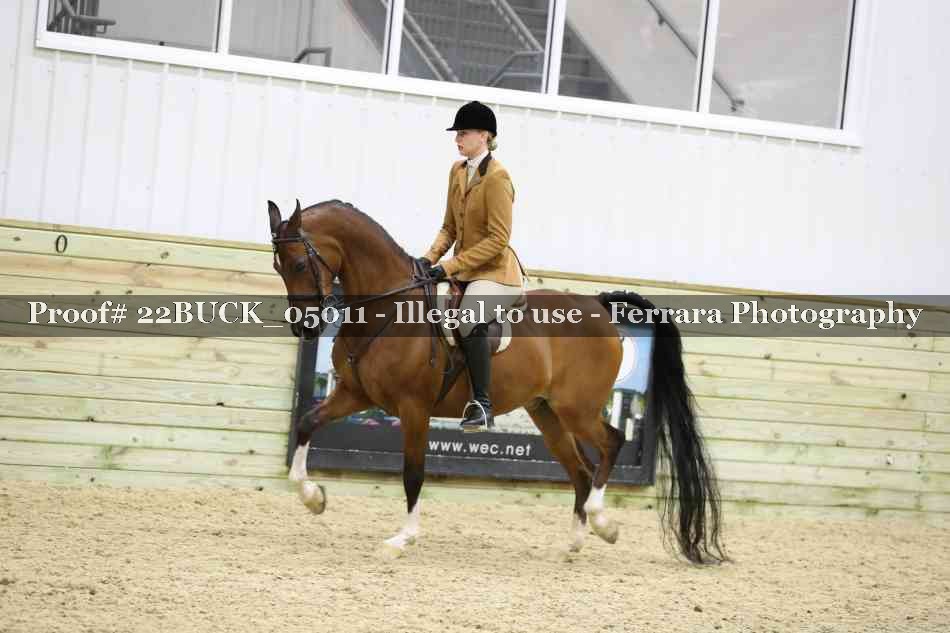 Proof 22BUCK_05011