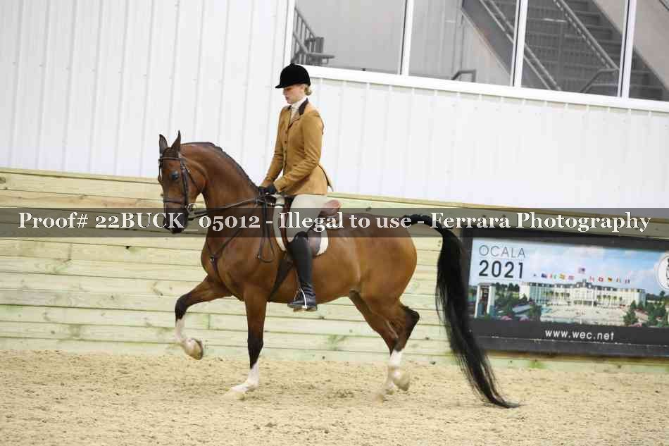 Proof 22BUCK_05012