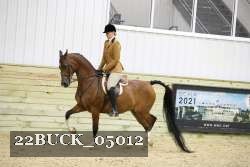 22BUCK_05012 proof