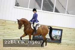 22BUCK_05017 proof