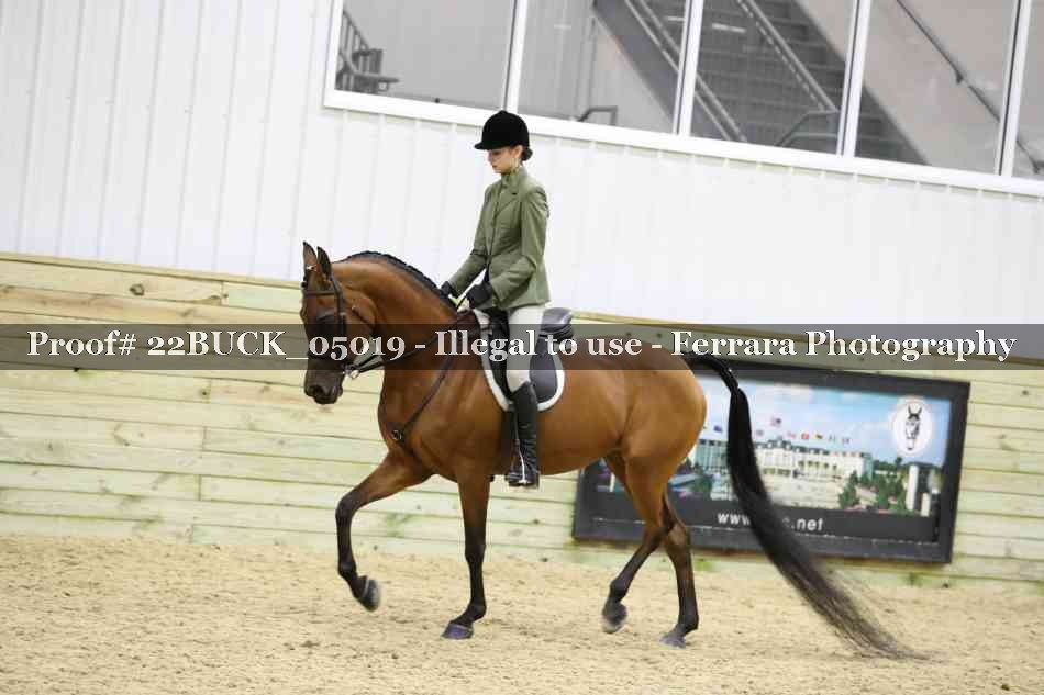 Proof 22BUCK_05019