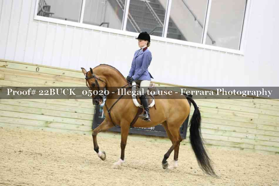 Proof 22BUCK_05020
