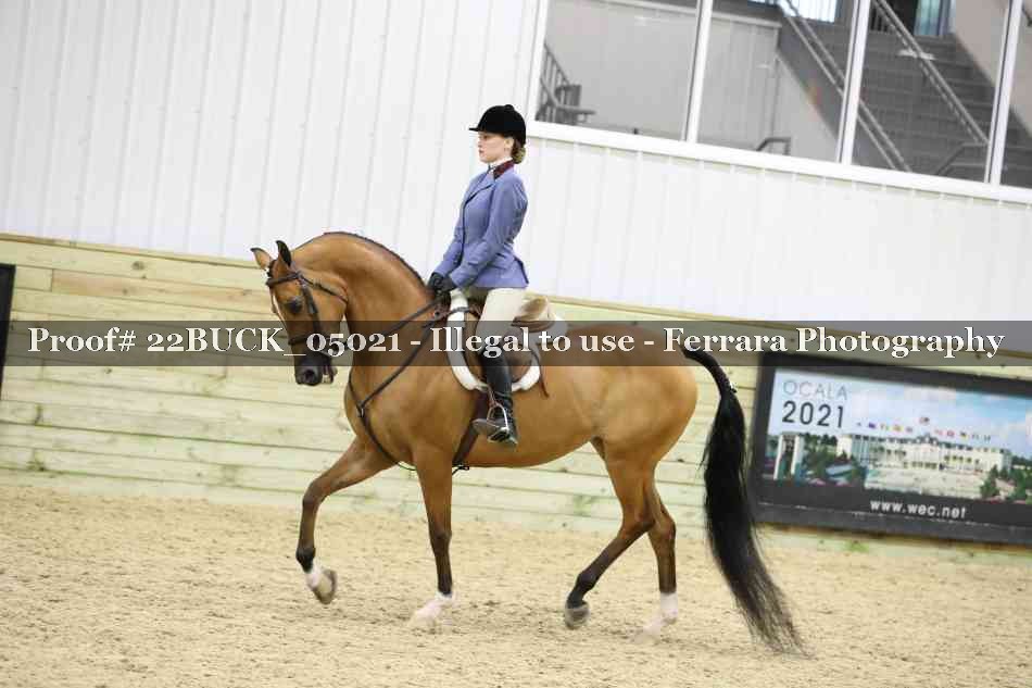 Proof 22BUCK_05021