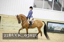 22BUCK_05021 proof