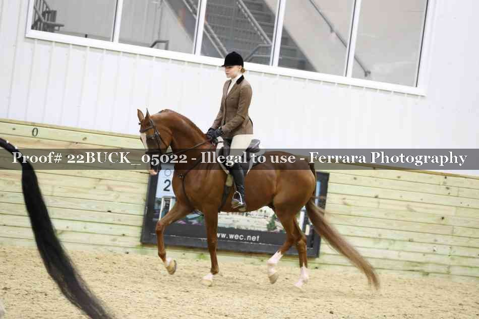 Proof 22BUCK_05022