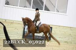 22BUCK_05022 proof