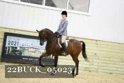 22BUCK_05023 proof