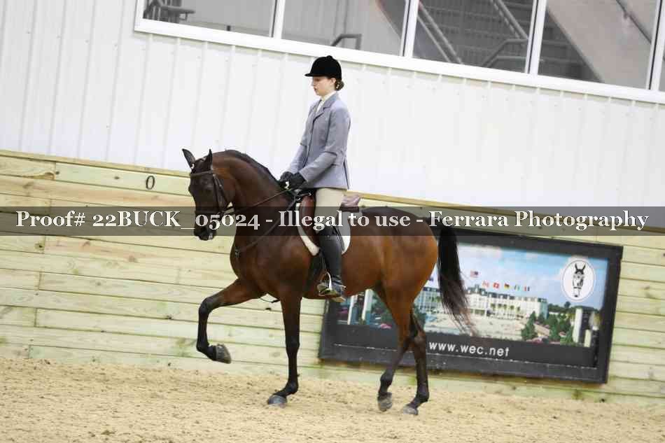 Proof 22BUCK_05024