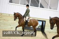 22BUCK_05026 proof