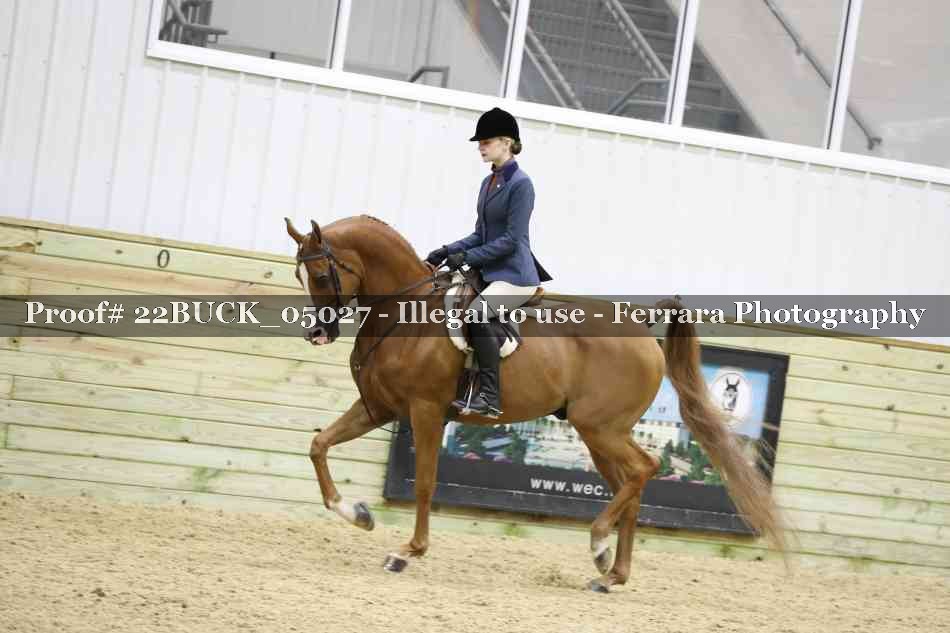 Proof 22BUCK_05027