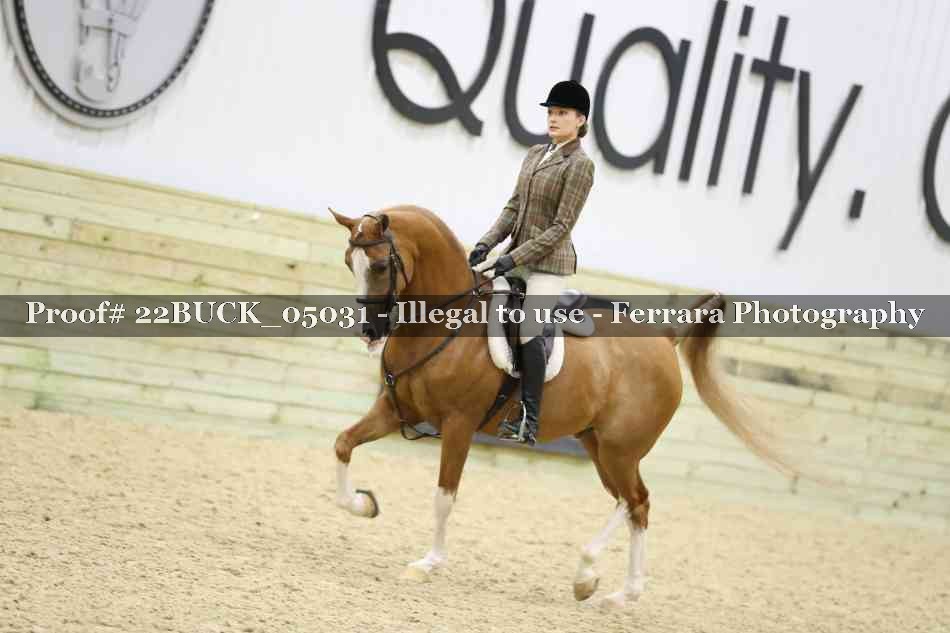 Proof 22BUCK_05031