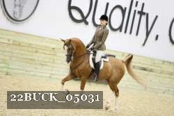 22BUCK_05031 proof