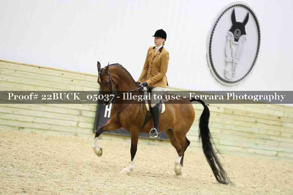 Proof 22BUCK_05037