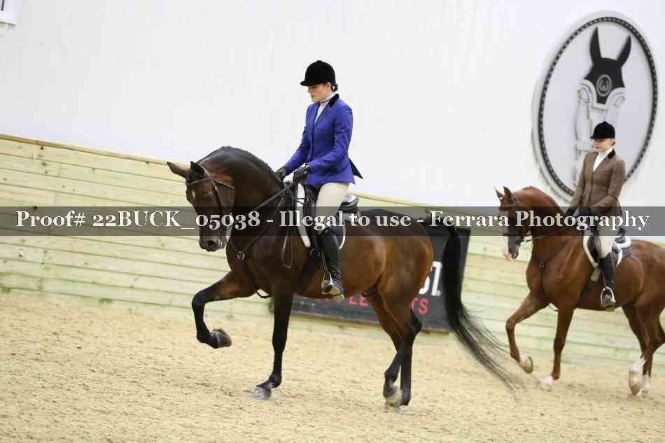 Proof 22BUCK_05038