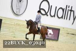 22BUCK_05040 proof