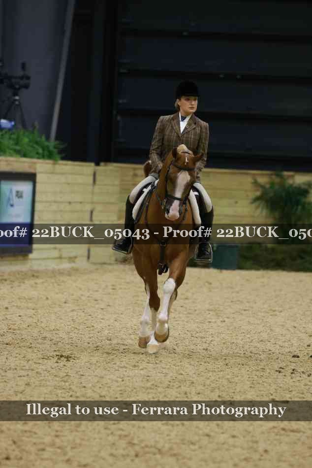 Proof 22BUCK_05043