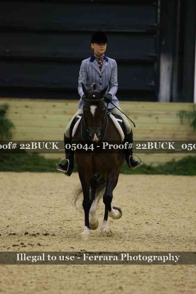 Proof 22BUCK_05044