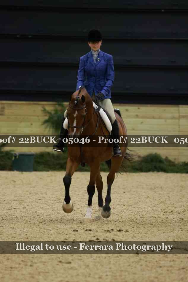 Proof 22BUCK_05046