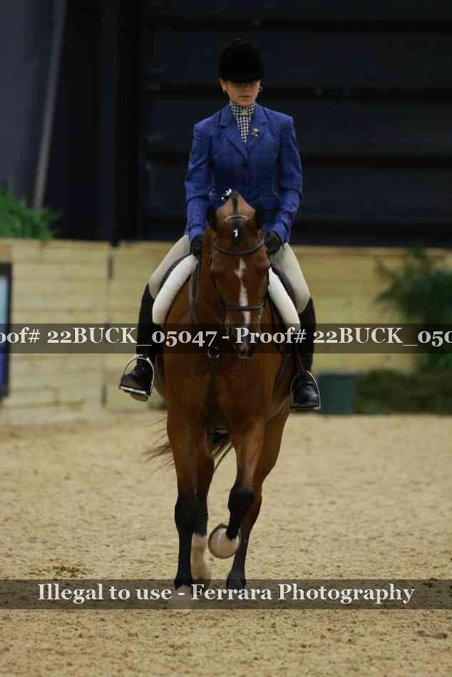 Proof 22BUCK_05047