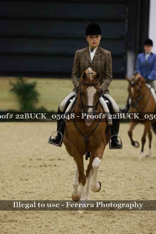 Proof 22BUCK_05048