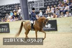 22BUCK_05049 proof