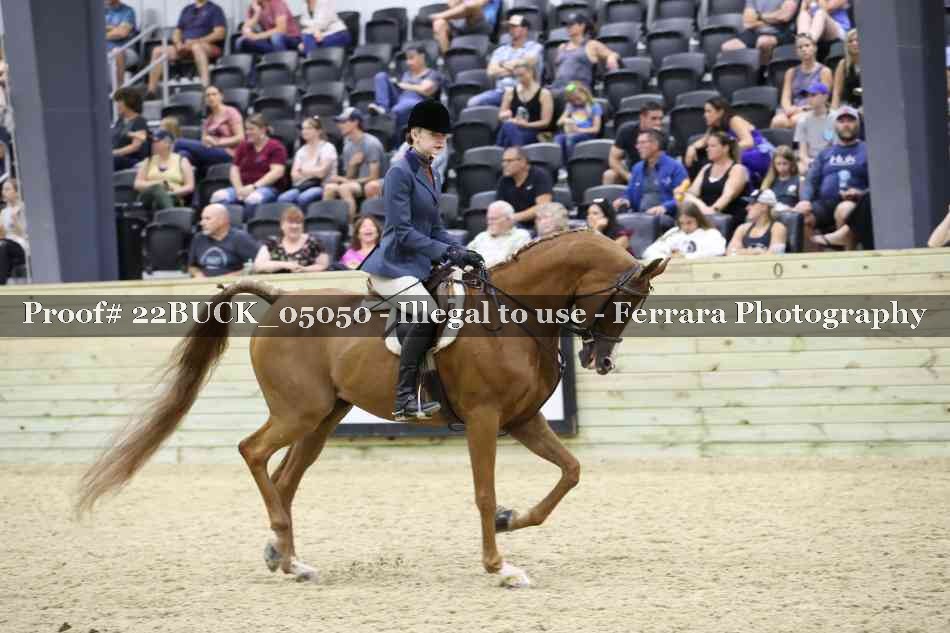 Proof 22BUCK_05050