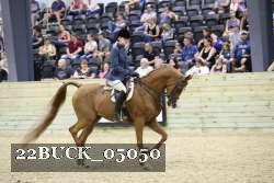22BUCK_05050 proof
