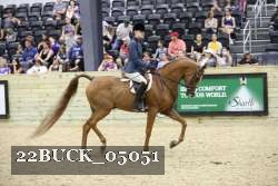 22BUCK_05051 proof