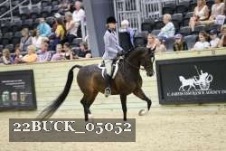 22BUCK_05052 proof